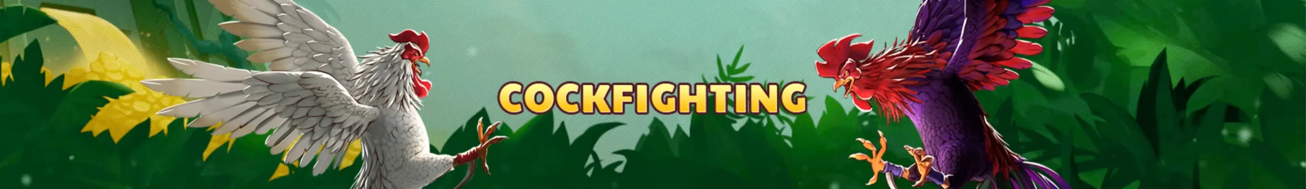 8k8 cockfight