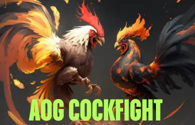 AOG COCKFIGHT