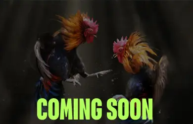 COMING SOON